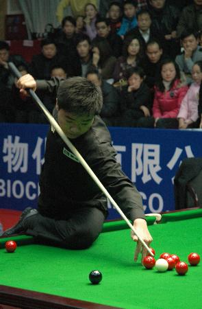 波尔卡诺娃 波尔卡诺娃