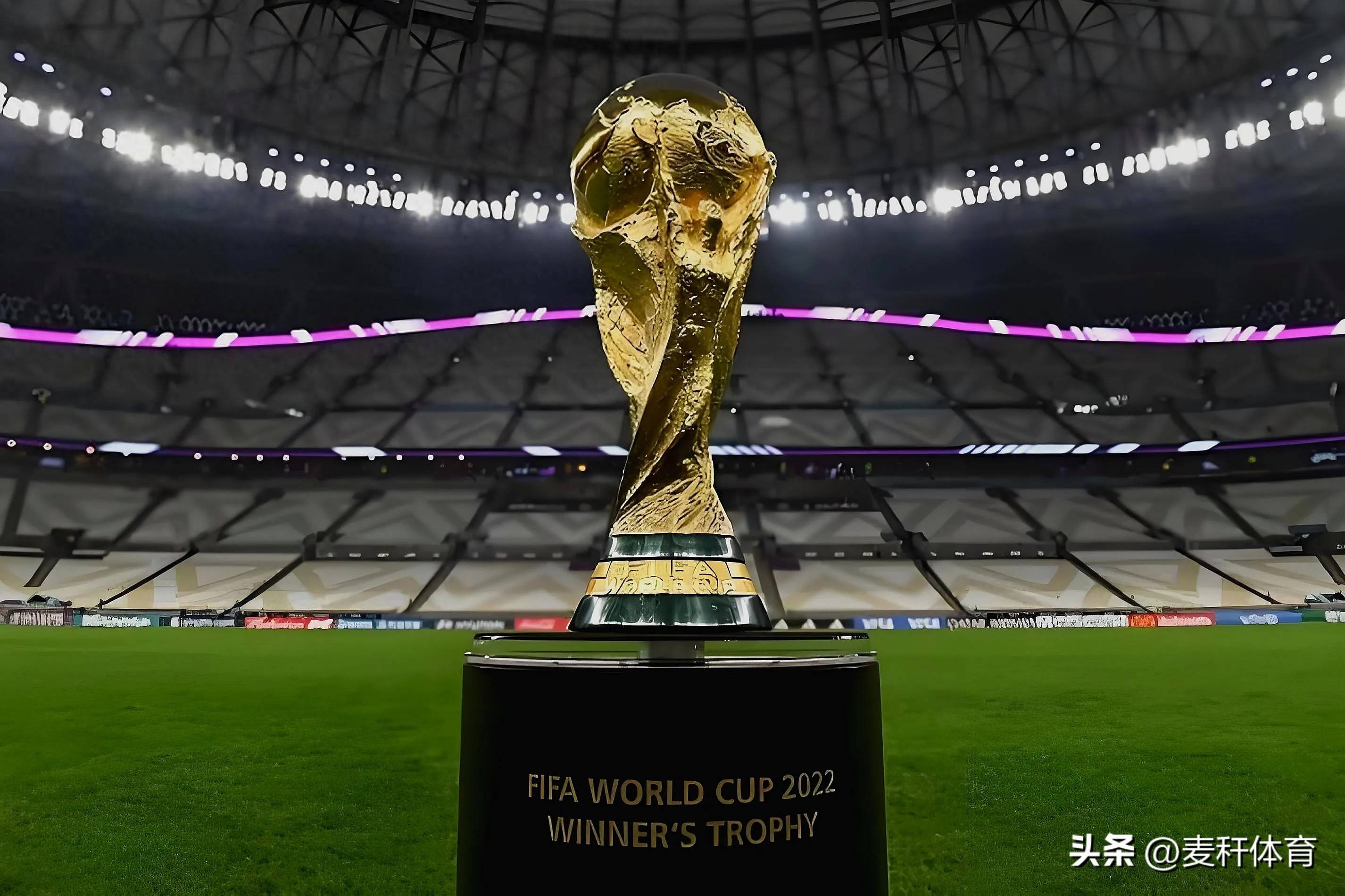 因为他的健 因为他的健