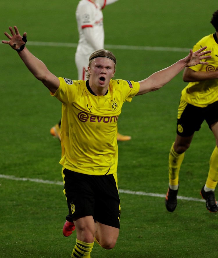 赛事组委会 赛事组委会