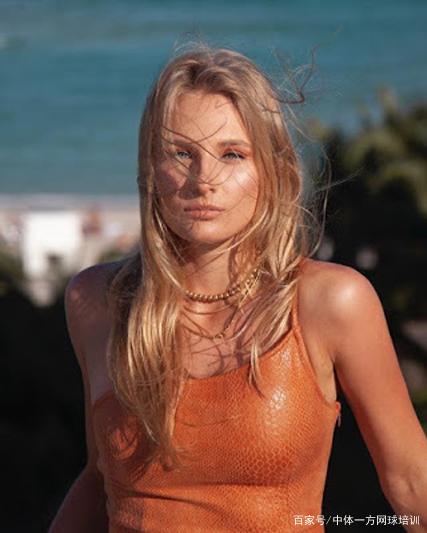 哈密尔顿更 哈密尔顿更